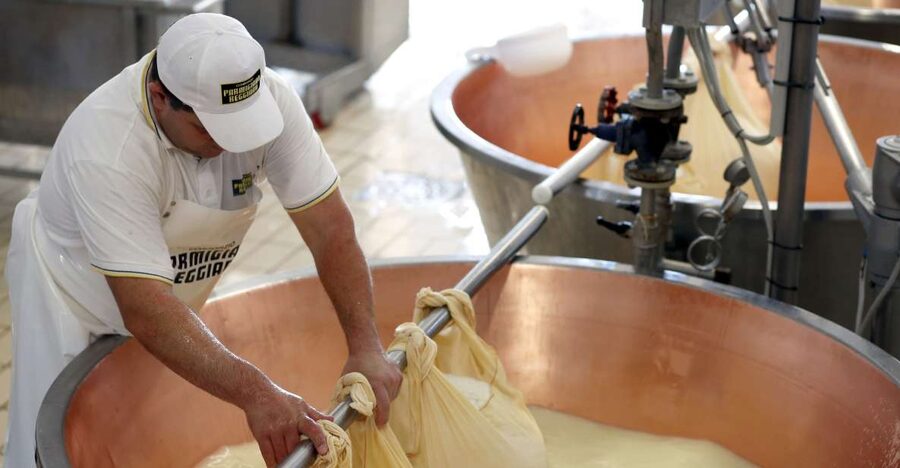 Parma: Parmigiano Reggiano Farm Tour & Tasting with Transfer - Is $91 a fair price?