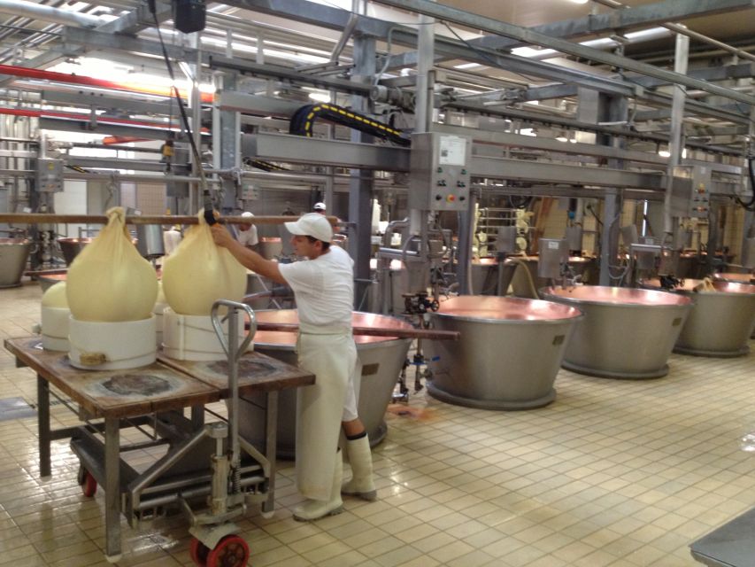 Parma: Parmigiano Reggiano Farm Tour & Tasting with Transfer - The 25-minute ride from NH Parma