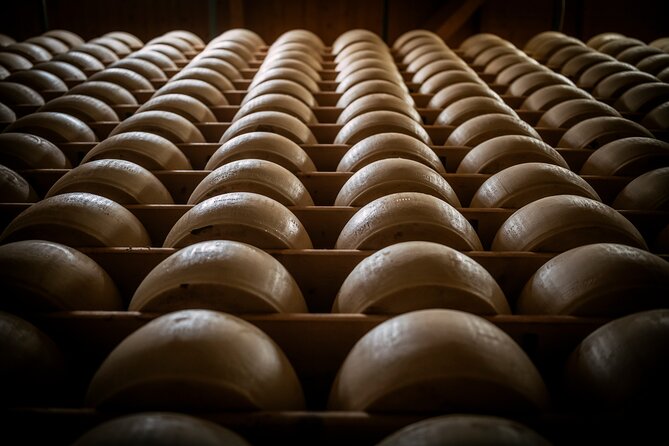 Parmigiano and Culatello Private Tour with Lunch and Farm Visit - The four-age Parmigiano tasting