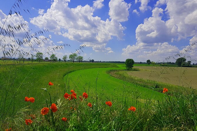 Parmigiano and Culatello Private Tour with Lunch and Farm Visit - Is $322.97 per person good value?