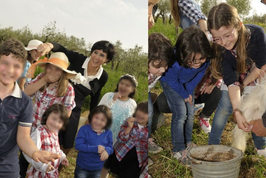 Partinico: Farm's Animals and Aromatic Garden Experience - Key details at a glance