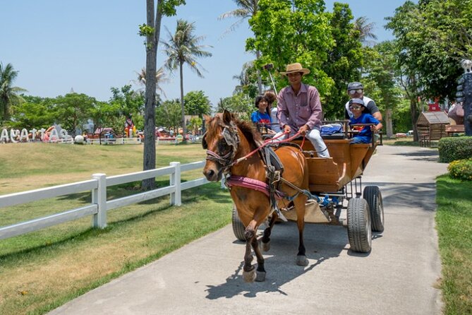 Pattaya sheep Farm Entrance Tickets - What your $6.50 ticket gets you