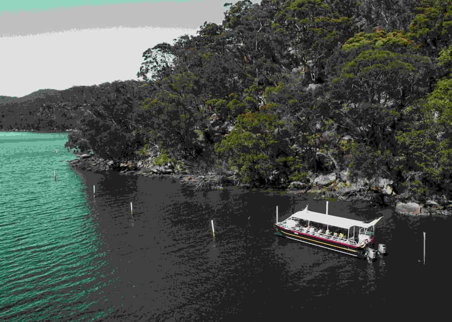 Pearl & Oyster Farm Hawkesbury River Cruise - Setting out from Mooney Mooney