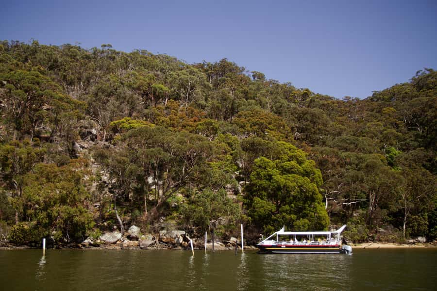 Pearl & Oyster Farm Hawkesbury River Cruise - From spawning to seafood and pearls
