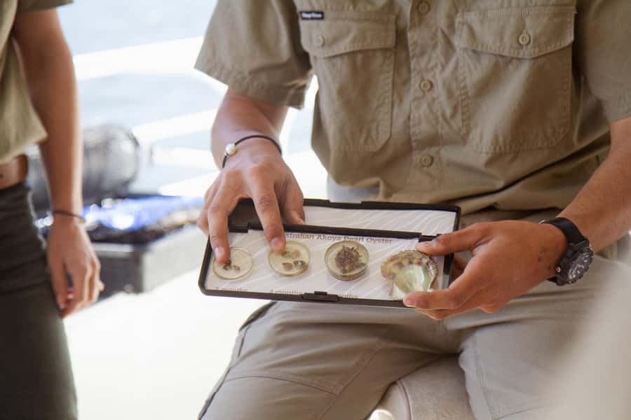 Pearl & Oyster Farm Hawkesbury River Cruise - Who should book the Hawkesbury farm cruise?