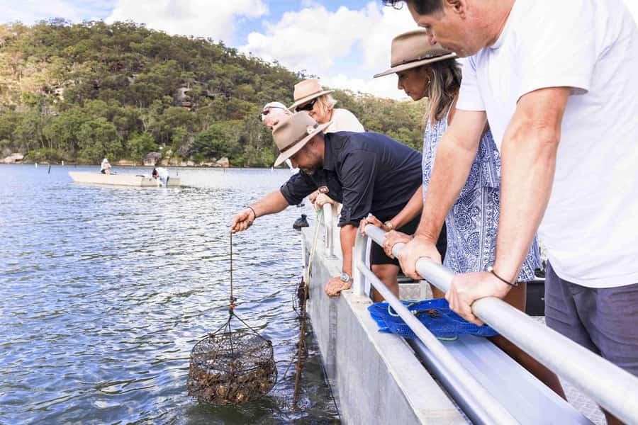 Pearl & Oyster Farm Hawkesbury River Cruise - A boat ride with a purpose