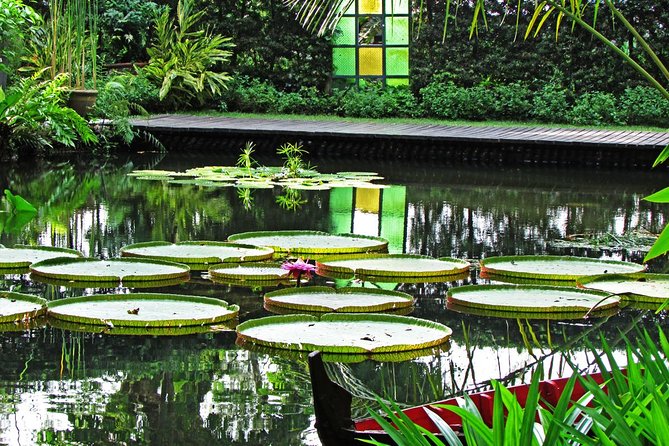 Penang Round Island Tour With Tropical Spice Garden & Entopia Butterfly Farm - Choosing batik at a Teluk Bahang factory