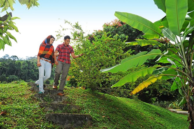 Penang Tropical Fruit Farm with Fruit Tasting - From Virgin Coconut Oil to natural soap