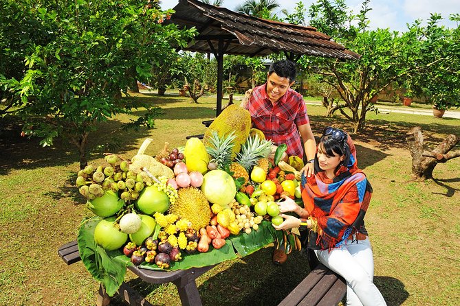 Penang Tropical Fruit Farm with Fruit Tasting - The winding road to the farm