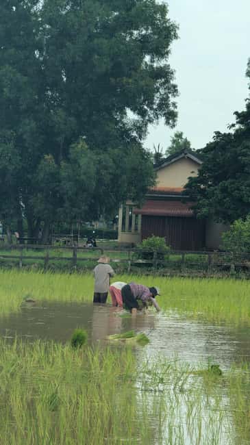 Pepper farm guided tour, Kep/Crab Market, salt & secret lake - Brateak Krola Lake and the quieter side of the province