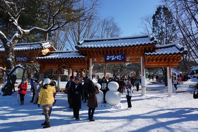 [Perfect Private Tour] Nami island, Petite France and Organic Strawberry Farm - One day beyond Seoul, without transport headaches