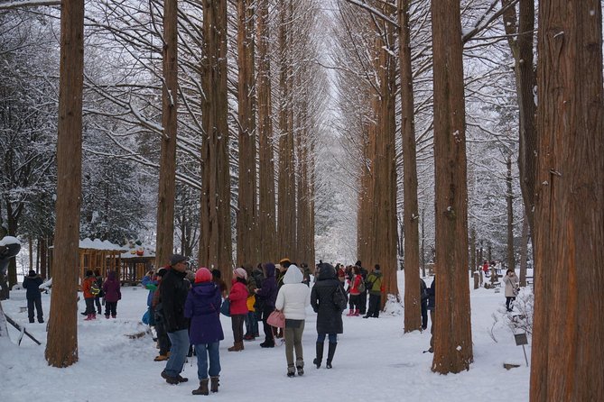 [Perfect Private Tour] Nami island, Petite France and Organic Strawberry Farm - What the $198 price really covers