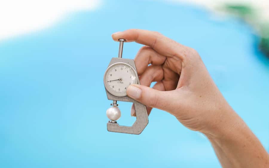 Perth: Harvest Your Own Pearl Experience - A one-hour schedule with no wasted time