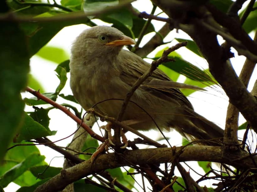 Phong Nha - Paradise Cave & Dark Cave or Duck Farm in needed - Botanic Garden at 9:30am