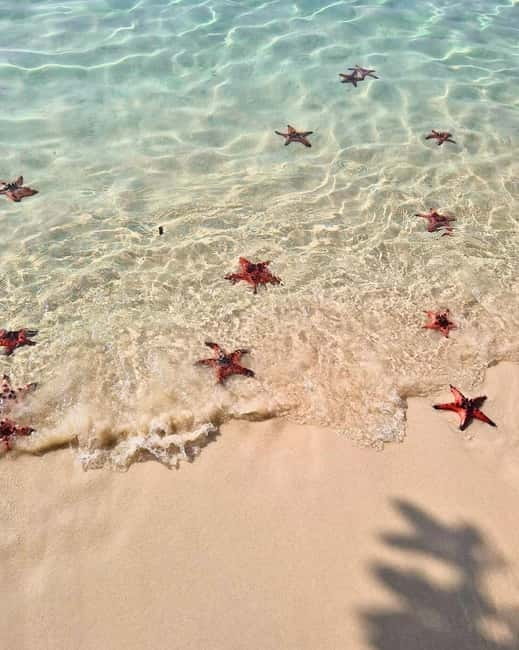Phu Quoc: Kayaking with Starfish Beach and Bee Farm Tour - Starting in Duong Dong at 8:15