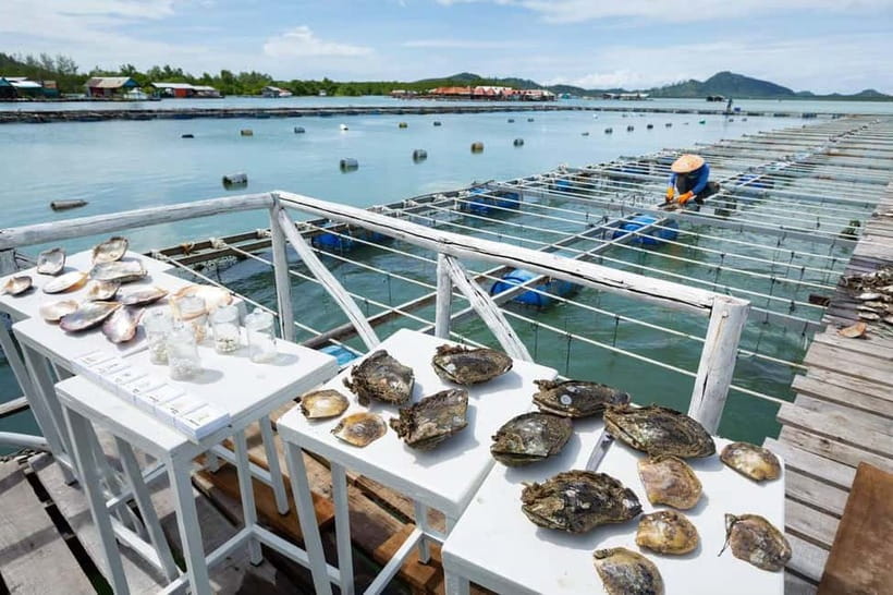 Phuket: Highlights Tour with Pearl Farm & Elephant Village - What the $69 price really covers