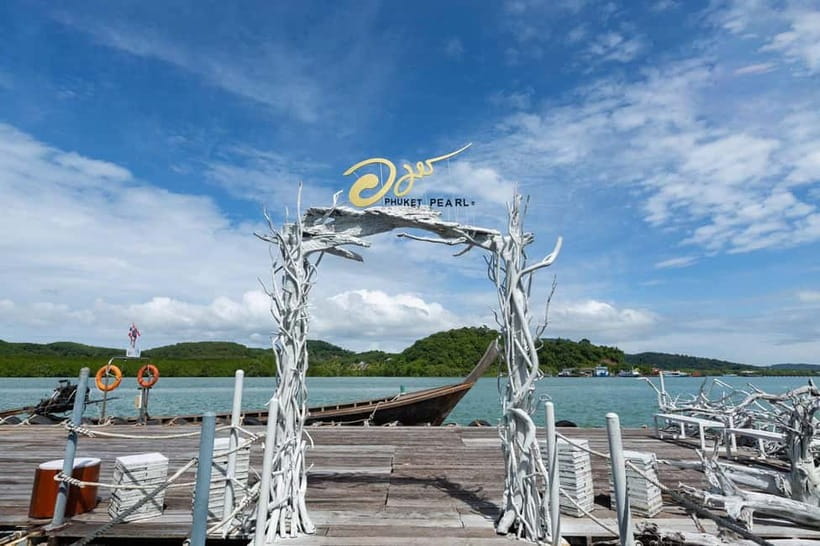 Phuket: Highlights Tour with Pearl Farm & Elephant Village - Who will enjoy this Phuket day out?
