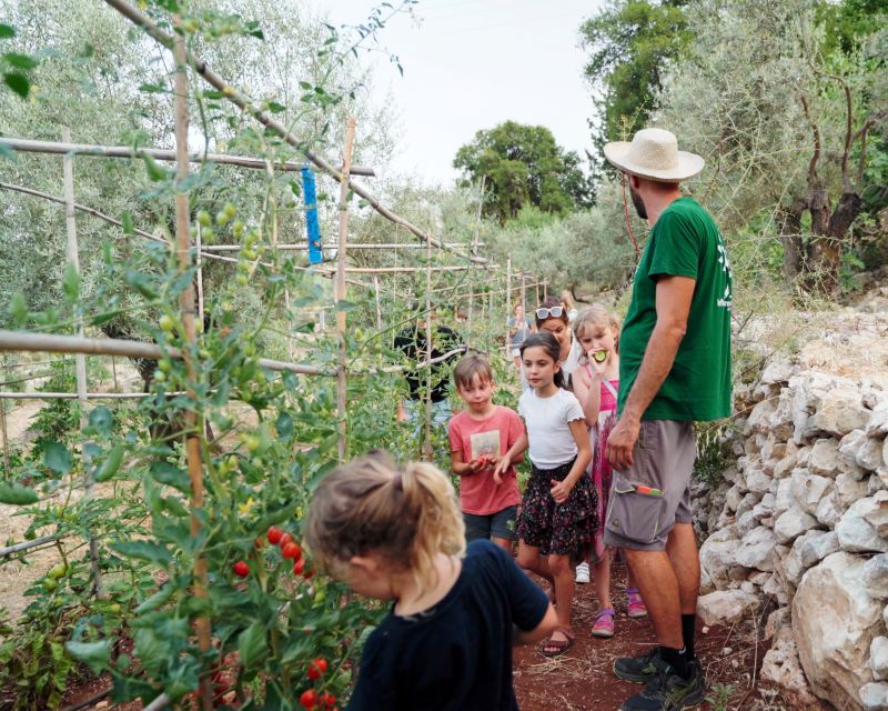 Phyllo Pie Baking Class @ Lefkada Micro Farm - Four recipes, from greens to baklava