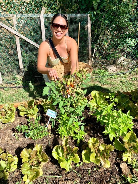 Pick Vegetables at the farm & Cook pasta - From Florence to the Chianti countryside