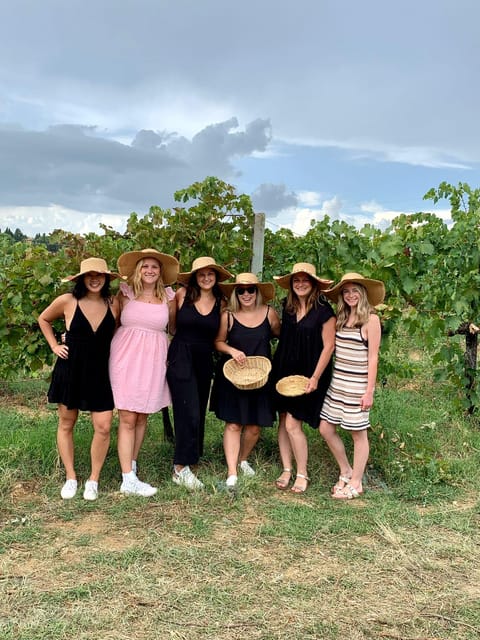 Pick Vegetables at the farm & Cook pasta - Four courses, family recipes, and olive oil