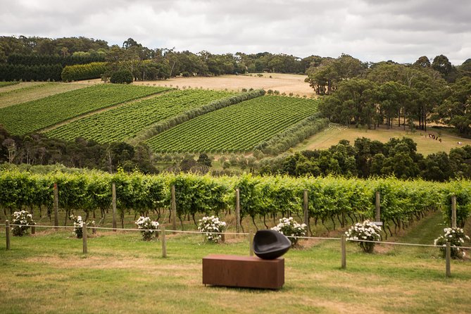 Picnic and Farm Experience at Red Hill - What children receive in the family package