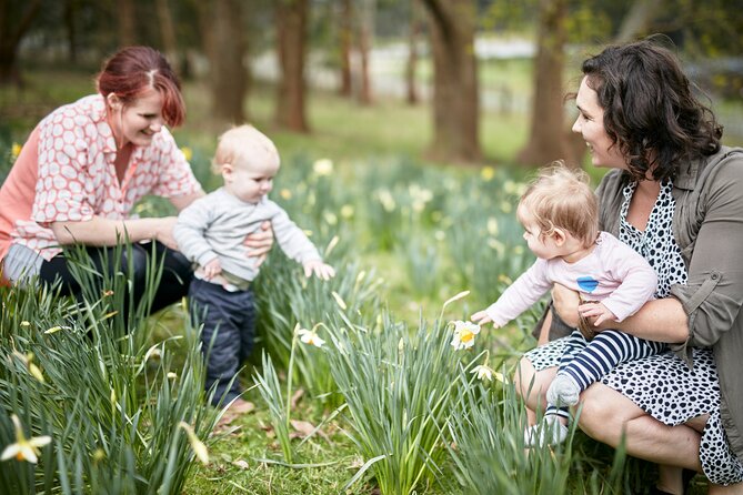 Picnic and Farm Experience at Red Hill - Choosing between the olive grove, paddock, and dam