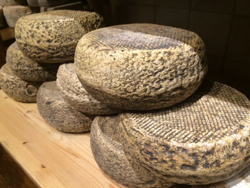 Pienza: Dairy Farm Tour with Pecorino Cheese Tasting - Seeing the sheep and the cheese-making process