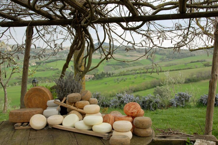 Pienza: Dairy Farm Tour with Pecorino Cheese Tasting - Making the two-hour schedule work