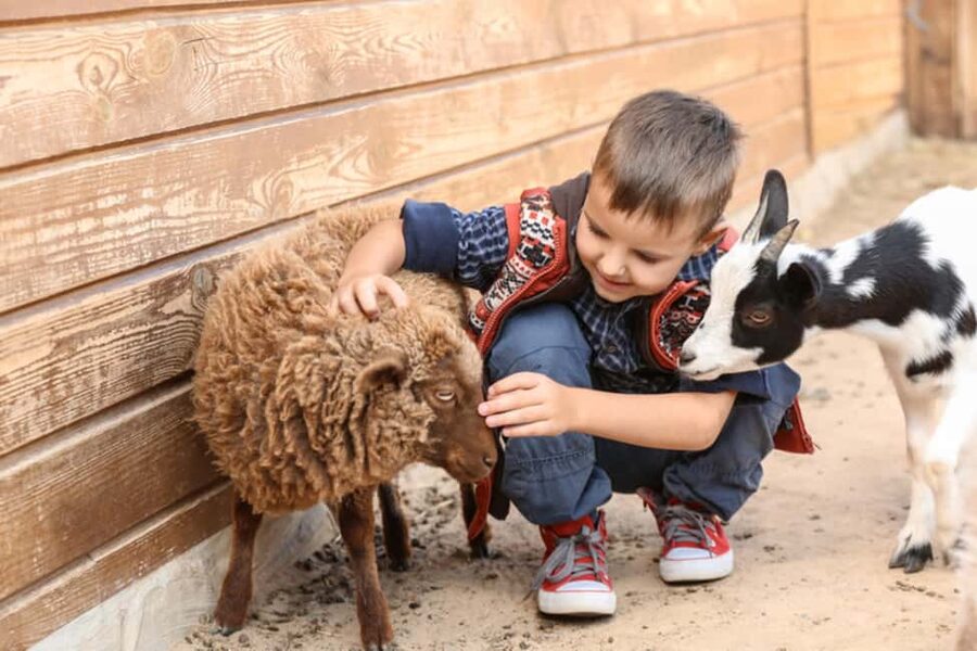 Pigeon Forge: SkyLand Ranch Admission with Chairlift - Swing rides, music, and magic shows