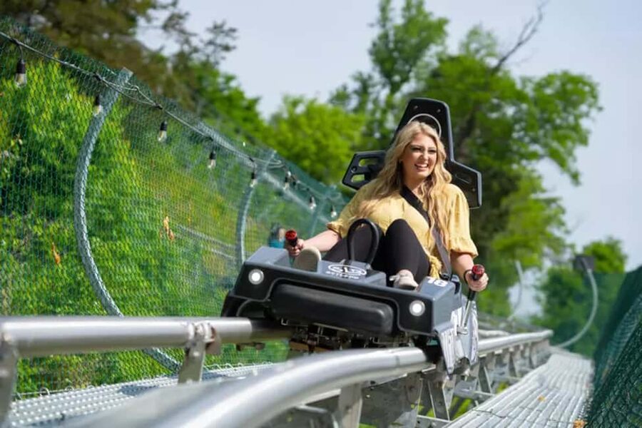 Pigeon Forge: SkyLand Ranch Admission with Chairlift - Animals from miniature horses to longhorns