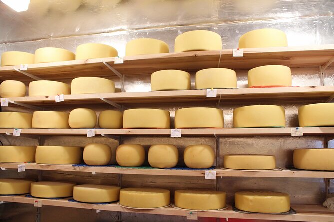 Pisa, Lucca & Cheese Farm with wine tasting Private Tour - Who will enjoy this day most