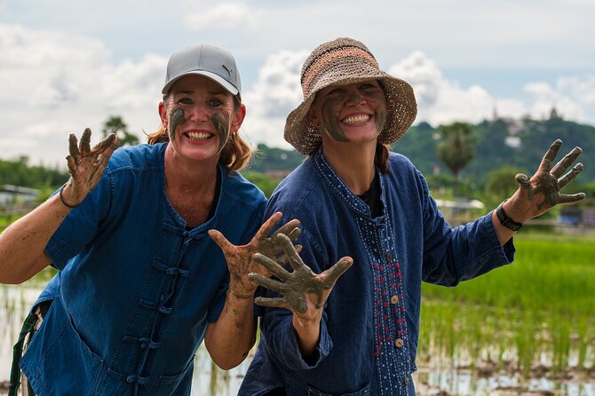 Plough to Plate: Be A Rice Farmer in Phetchaburi from Hua Hin - Why this Phetchaburi farm visit is different
