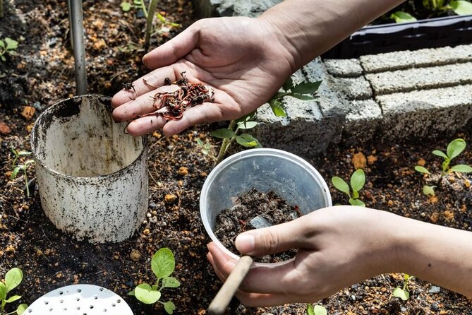 Pokhara: Organic Farm Tour and Cooking Class at Durku - The 90-minute Nepali cooking lesson