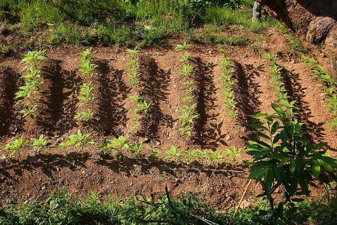 Pokhara: Organic Farm Tour and Cooking Class at Durku - What you can buy after the class