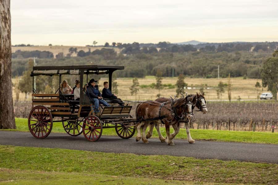 Pokolbin: Harvest the Hunter Horse Drawn Carriage Tour 3hrs - Key points to know before you book