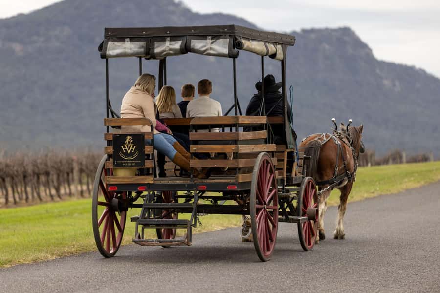 Pokolbin: Harvest the Hunter Horse Drawn Carriage Tour 3hrs - Why a carriage is a fine way to see Pokolbin
