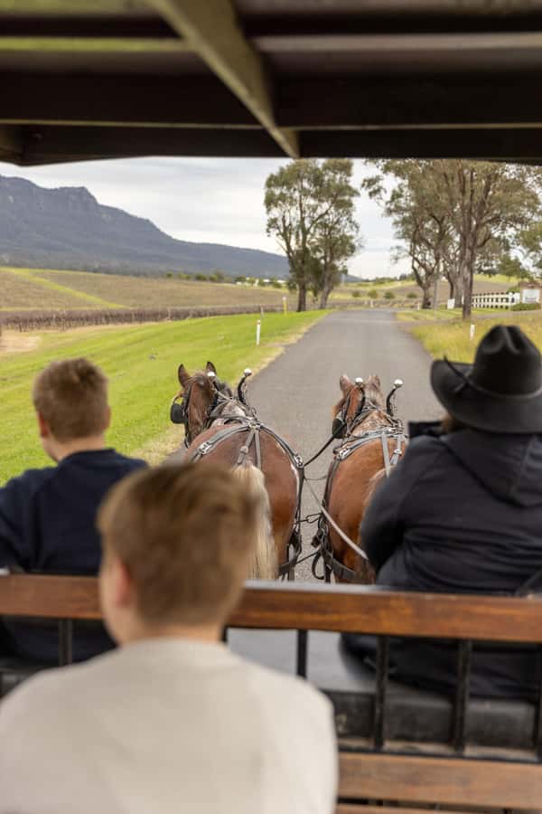 Pokolbin: Harvest the Hunter Horse Drawn Carriage Tour 3hrs - First winery: tasting wine without rushing