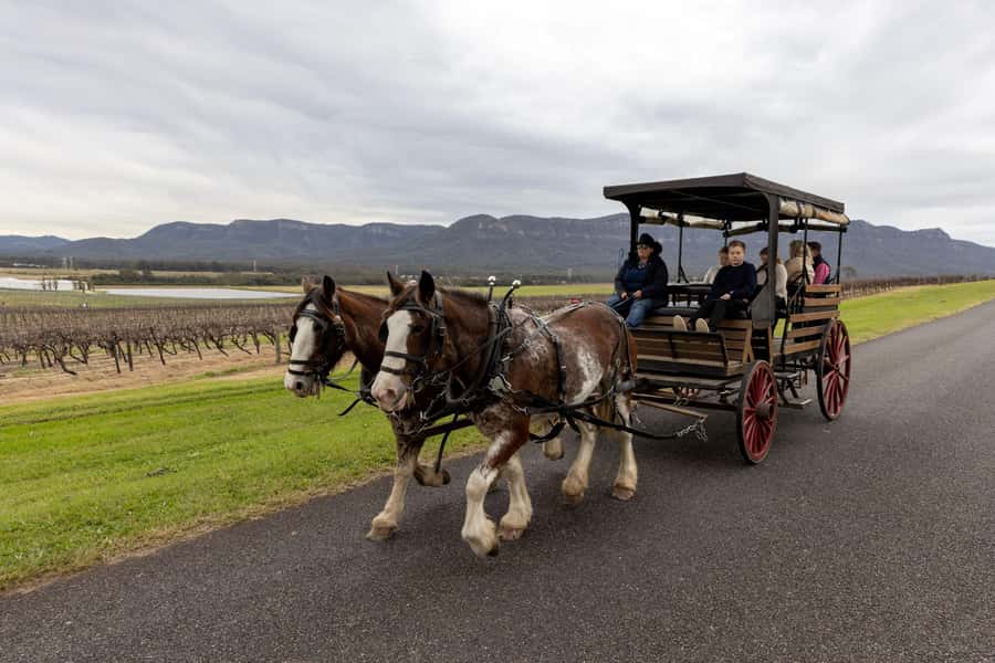 Pokolbin: Harvest the Hunter Horse Drawn Carriage Tour 3hrs - Starting at Wine House Hunter Valley