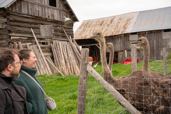 Pontiac Farm Tour - Day Trip From Ottawa & Gatineau - Key points at a glance