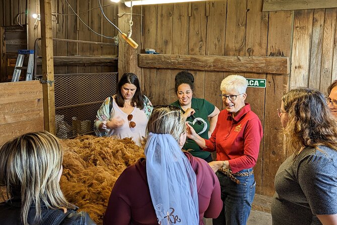 Pontiac Farm Tour - Day Trip From Ottawa & Gatineau - Ferme Ostribee and the ostrich farm