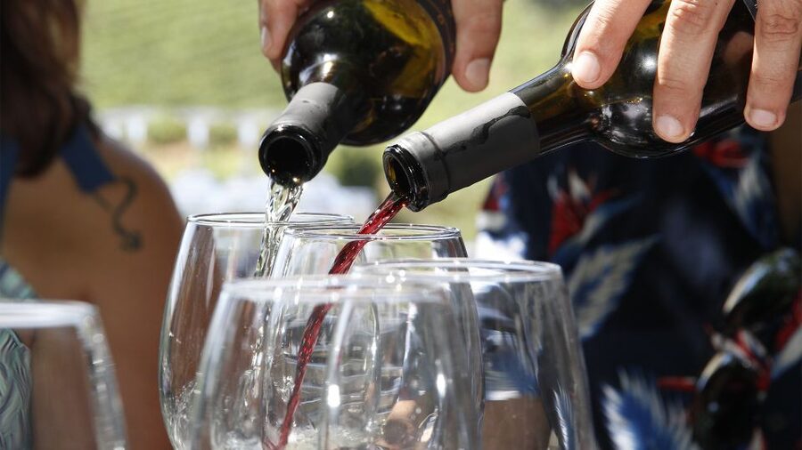 Porto: 3 Wine Regions & Farm Lunch with Views Small-Group - Key points to know before booking