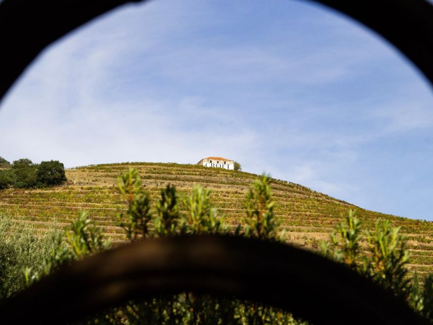 Porto: 3 Wine Regions & Farm Lunch with Views Small-Group - Who will enjoy this Douro Valley tour most?