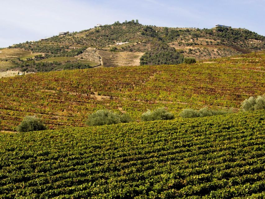 Porto: 3 Wine Regions & Farm Lunch with Views Small-Group - Lunch in Sabrosa is more than a break