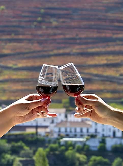 Porto: 3 Wine Regions & Farm Lunch with Views Small-Group - The third estate adds variety to the afternoon