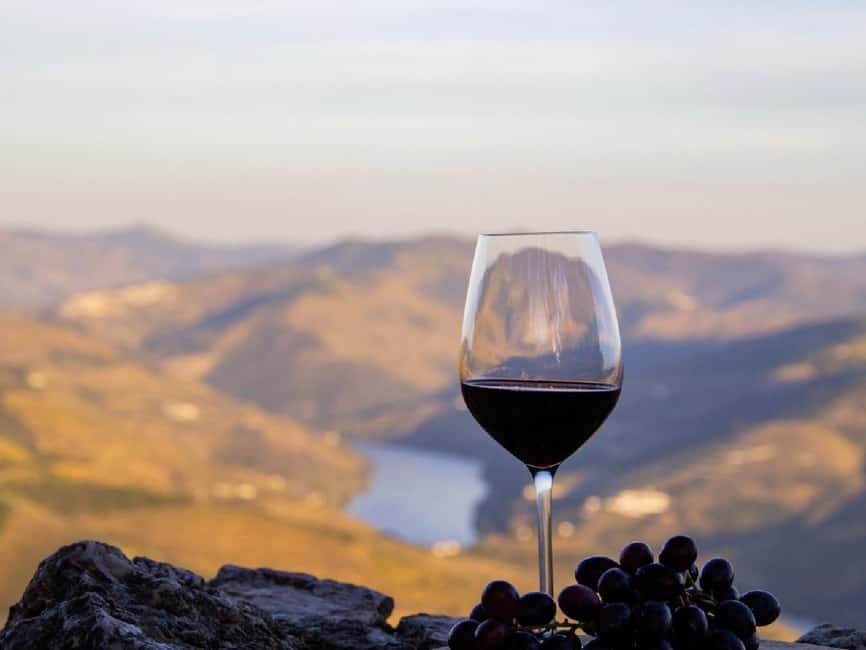 Porto: 3 Wine Regions & Farm Lunch with Views Small-Group - What the small-group format really changes