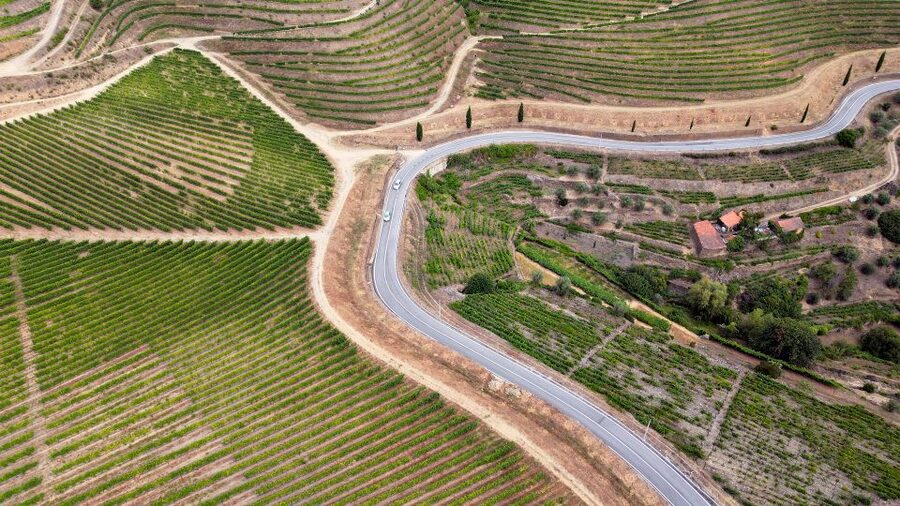 Porto: 3 Wine Regions & Farm Lunch with Views Small-Group - Practical advice for making the day comfortable
