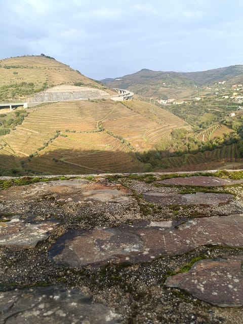 Porto: Douro valley 2 farms with wine tasting and lunch - Key points to know before booking