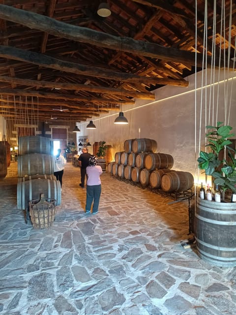 Porto: Douro valley 2 farms with wine tasting and lunch - The first farm: Port wine with context