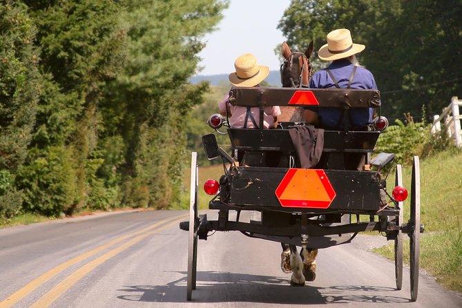 Premium Amish Country Tour including Amish Farm and House - The 90-minute minibus ride through Amish back roads