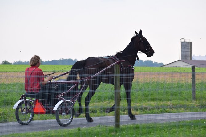 Premium Amish Country Tour including Amish Farm and House - Price, timing, and who gets the best value